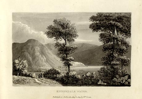 image, button to large image