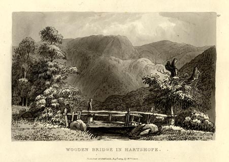 image, button to large image