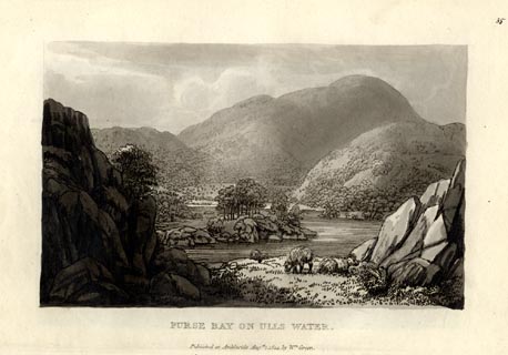 image, button to large image