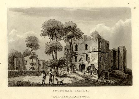 image, button to large image