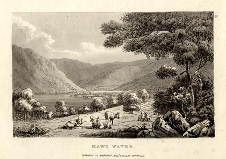 image, button to large image