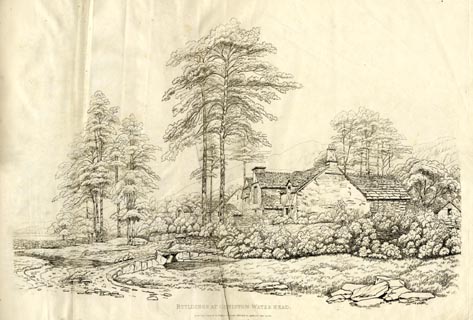 image, button to large image