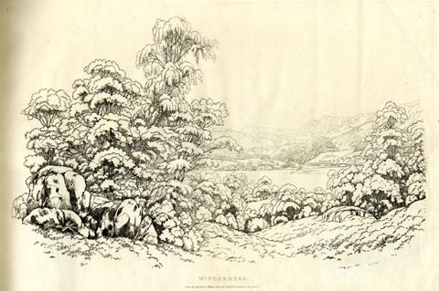 image, button to large image