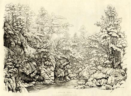 image, button to large image