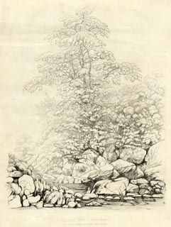 image, button to large image