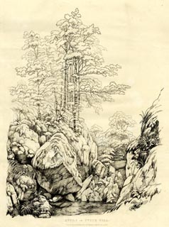 image, button to large image