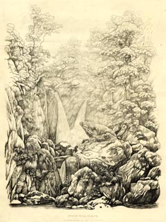 image, button to large image