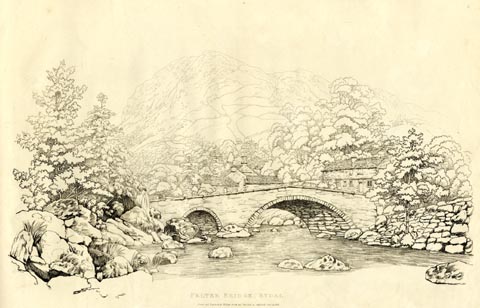 image, button to large image