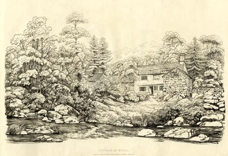 image, button to large image