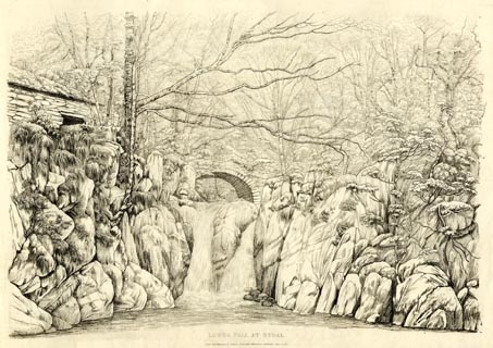 image, button to large image