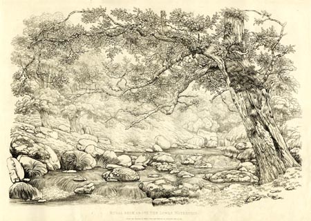 image, button to large image