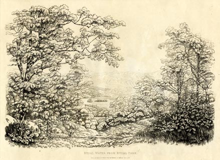 image, button to large image