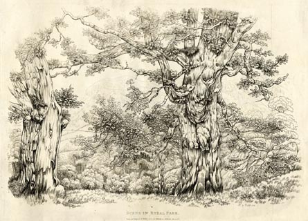 image, button to large image