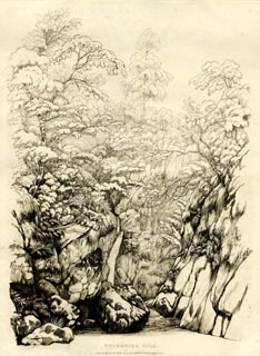 image, button to large image