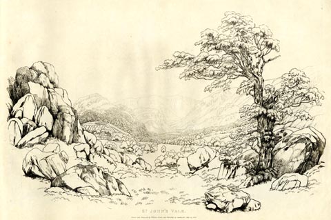 image, button to large image