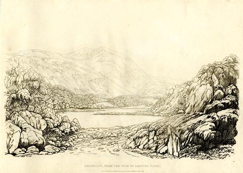 image, button to large image