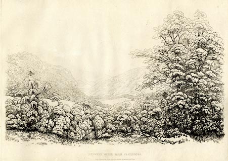 image, button to large image