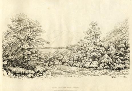 image, button to large image