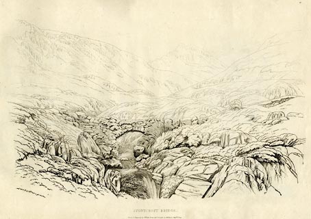 image, button to large image