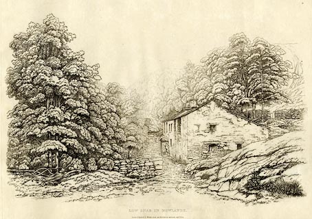 image, button to large image