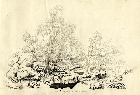 image, button to large image