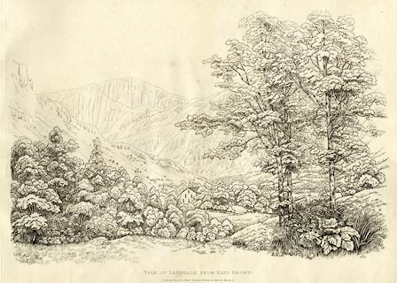 image, button to large image