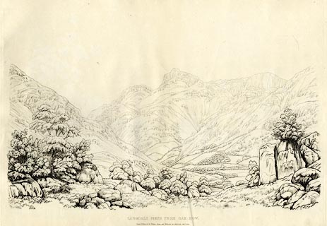 image, button to large image