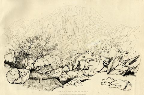 image, button to large image