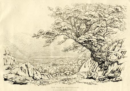 image, button to large image