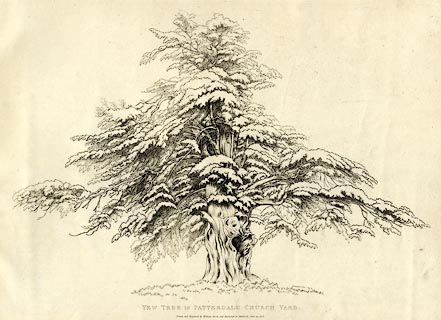 image, button to large image