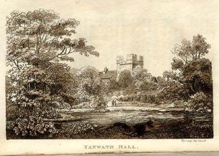 image, button to large image