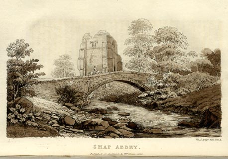 image, button to large image