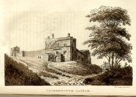 image, button to large image