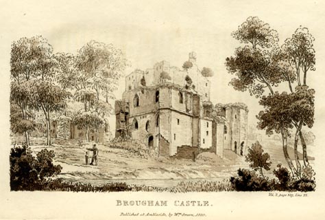 image, button to large image