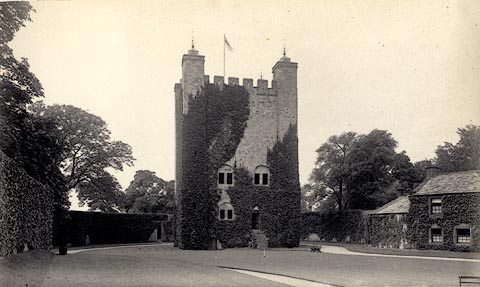 image, button to large image