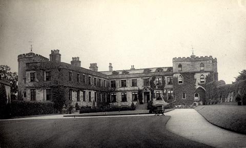 image, button to large image