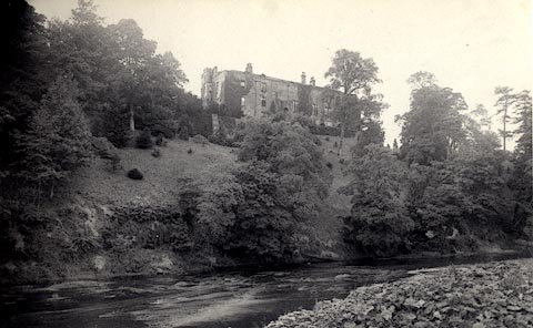 image, button to large image