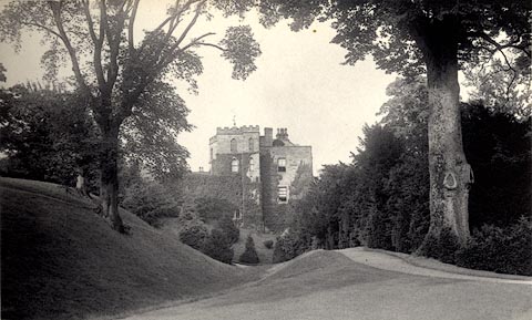 image, button to large image