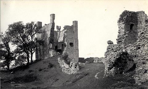 image, button to large image