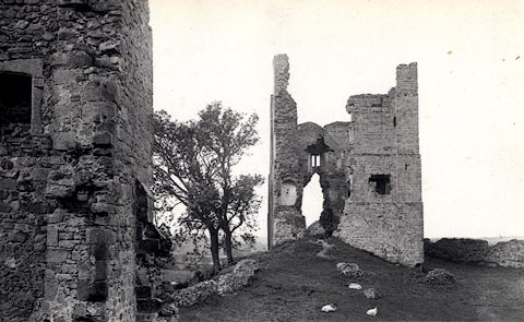 image, button to large image