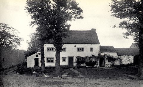 image, button to large image