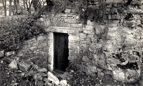 image, button to large image