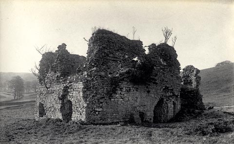 image, button to large image