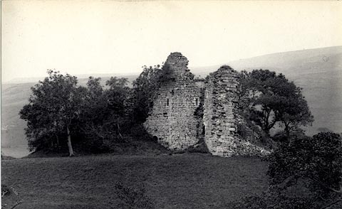 image, button to large image