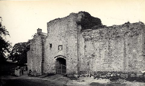 image, button to large image