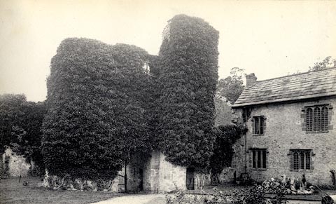 image, button to large image