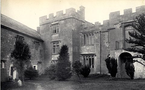 image, button to large image