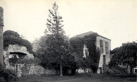 image, button to large image