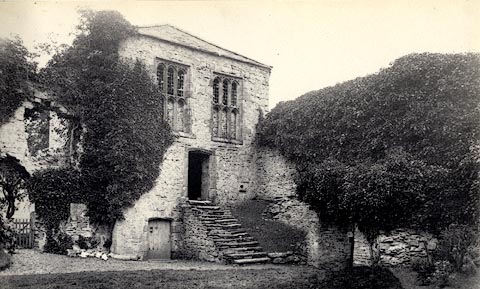 image, button to large image