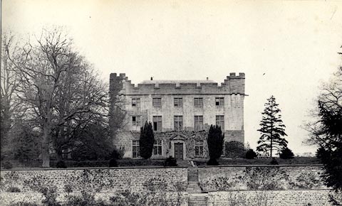 image, button to large image